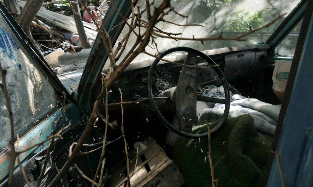 Planuojamos ūkinės veiklos organizatorius