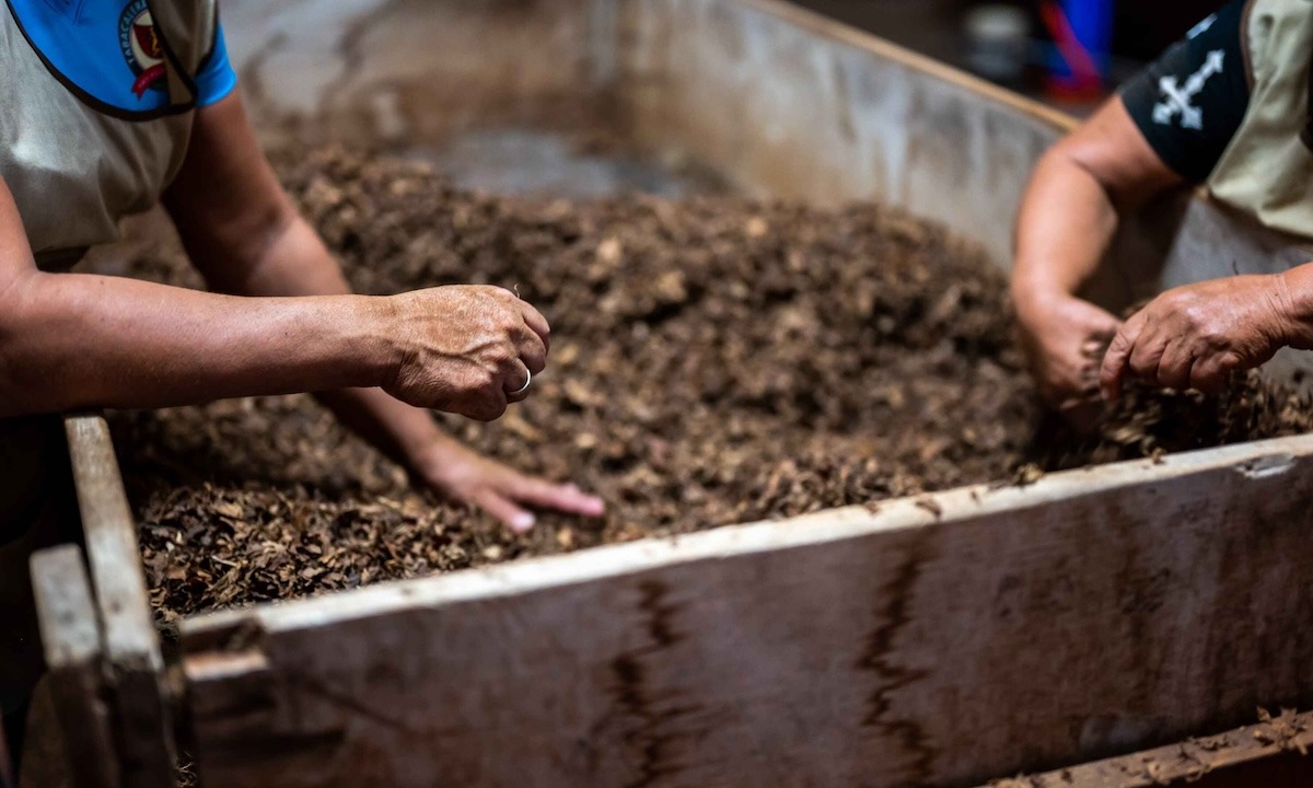 Bioskaidžių atliekų kompostavimas