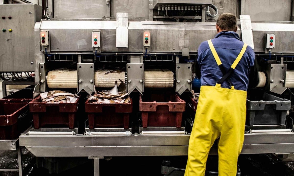 Gamybos įmonėje perdirbimo cechas.